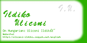 ildiko ulicsni business card